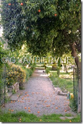 Blog -Sainte Lucie de Tallano-Chambres d'hôtes