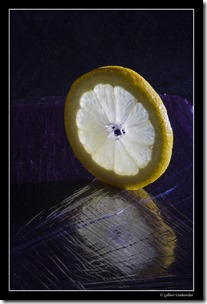 Gilbert Vanbiervliet - Citron (Copier)