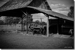 Ferme Delcroix Bachy - IMG_4709 - 23 juillet 2015 (Copier)